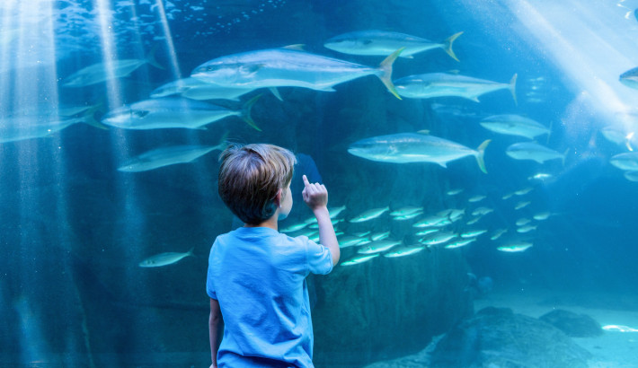 media.Slide-Parchi_2Mocambo-Riccione